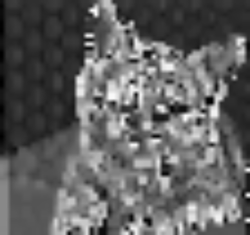 ../_images/feature_visualization_output.jpg