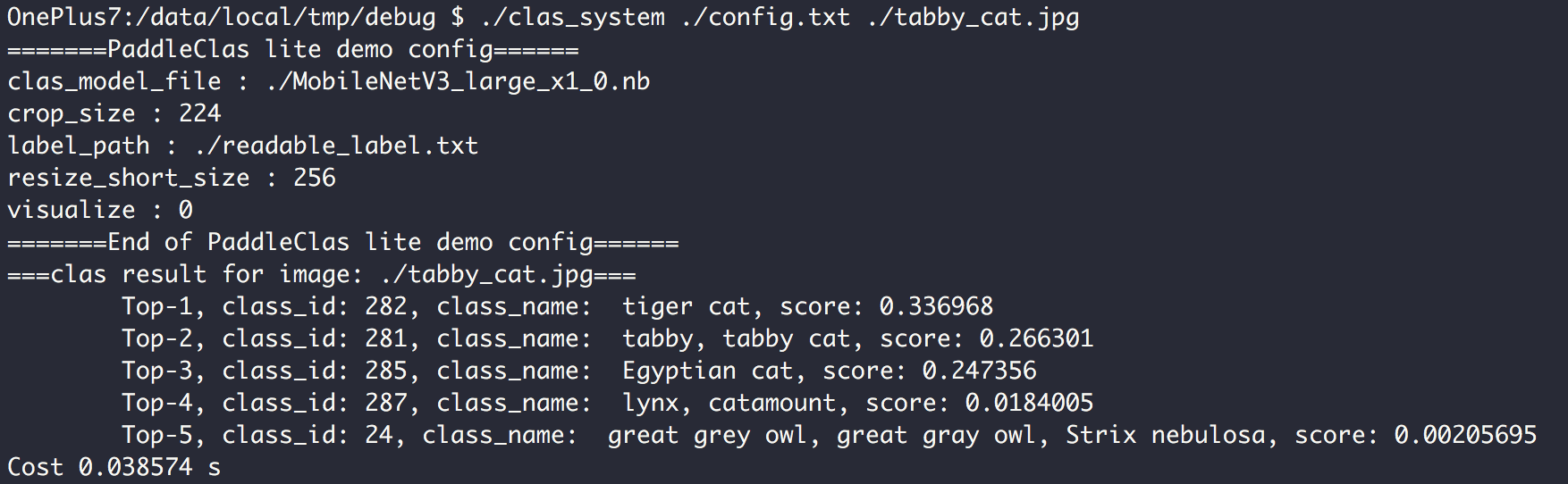 ../_images/lite_demo_result.png