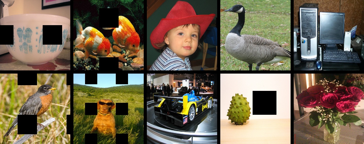 ../_images/test_gridmask.jpeg