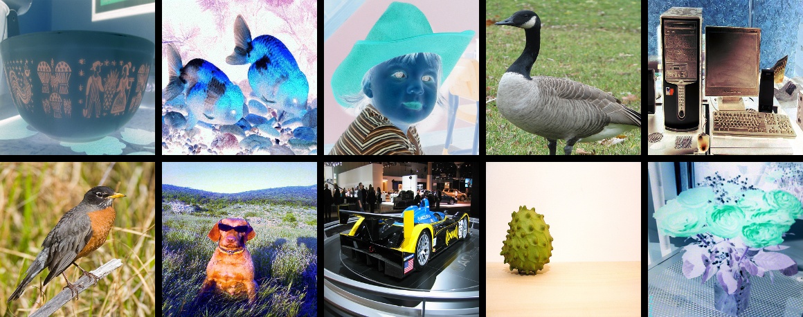 ../_images/test_randaugment.jpeg