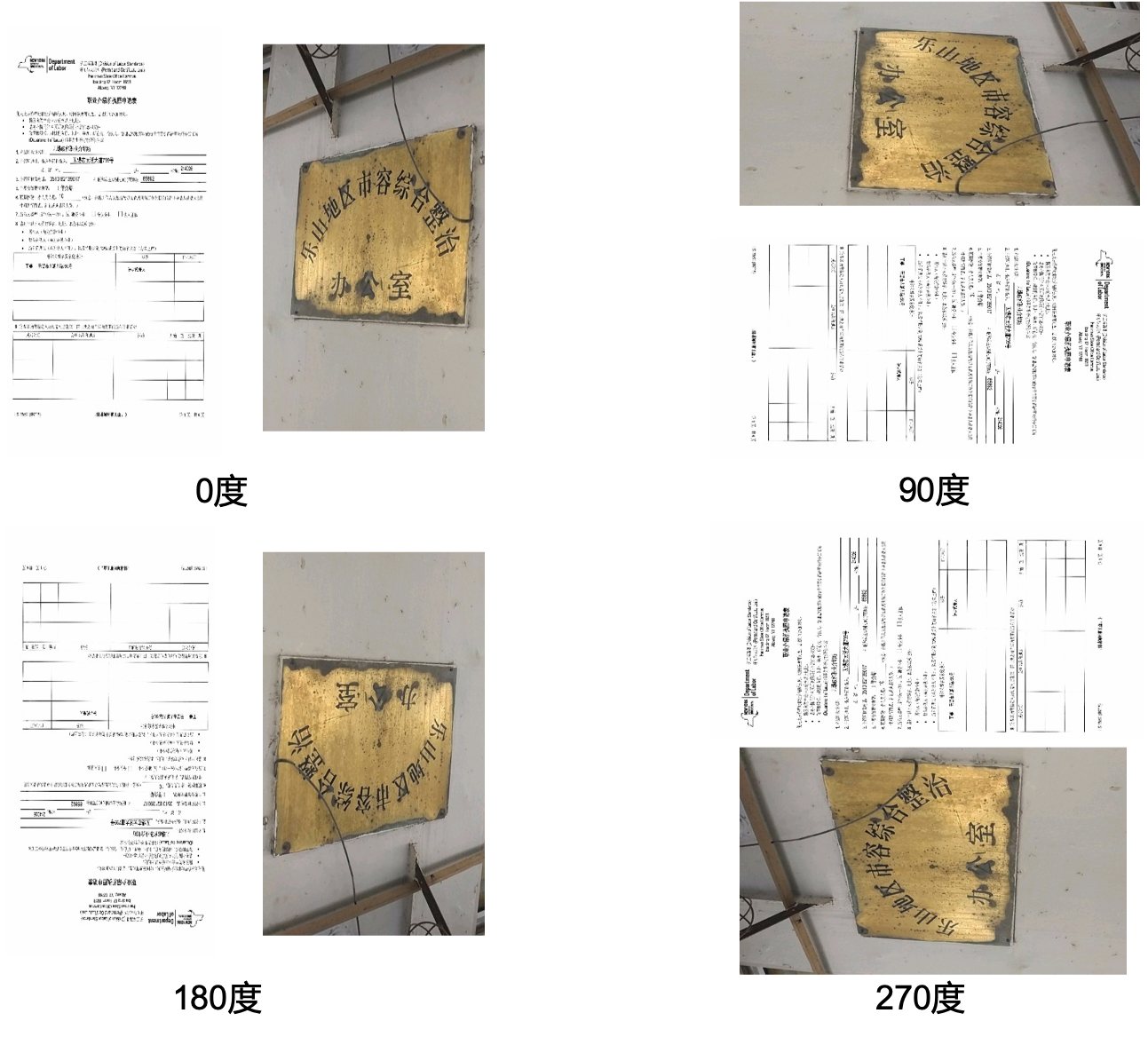 ../_images/text_image_orientation_data_demo.png