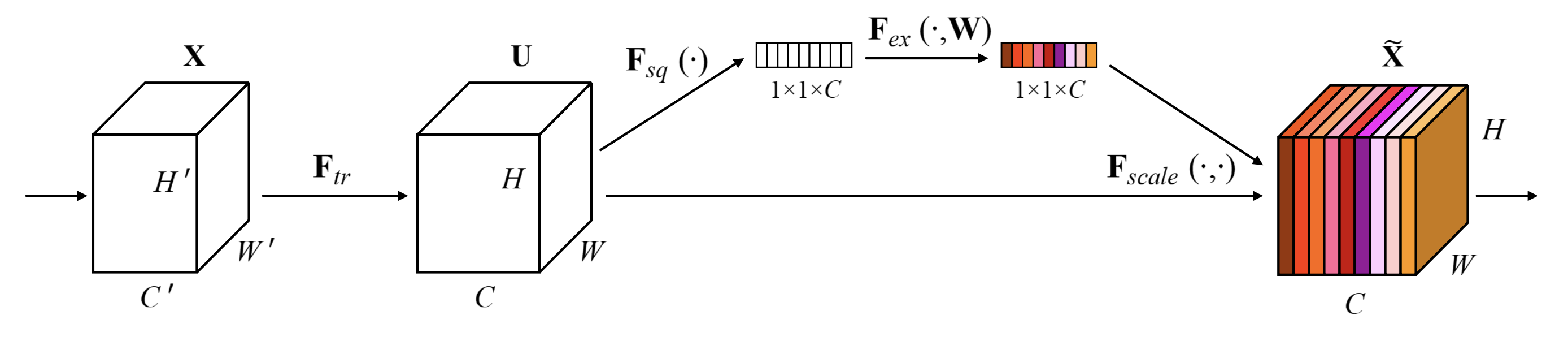 ../_images/SE_structure.png