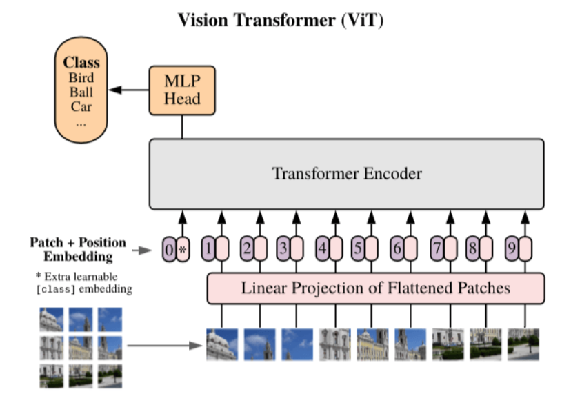 ../_images/ViT_structure.png