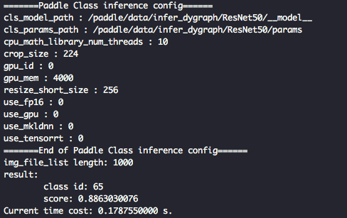 ../_images/cpp_infer_result.png