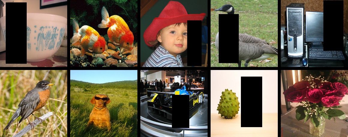 ../_images/test_randomerassing.jpeg