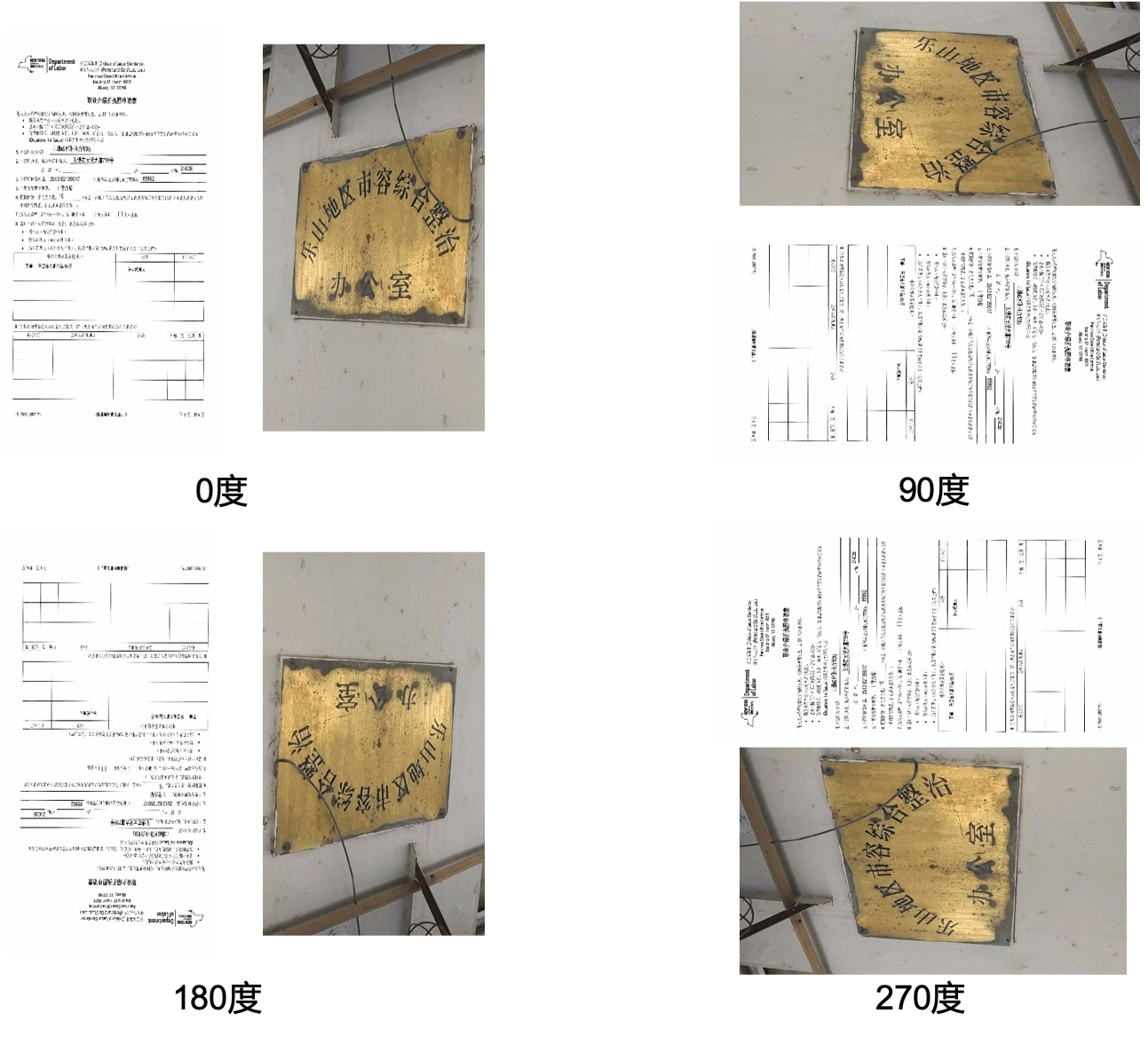 ../_images/text_image_orientation_data_demo.png